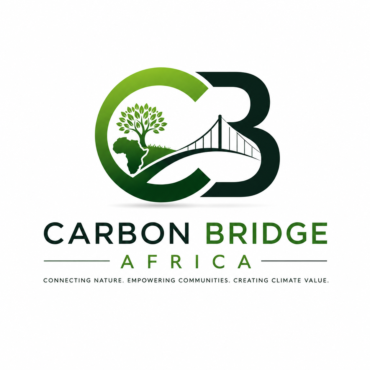 Carbon Bridge Africa